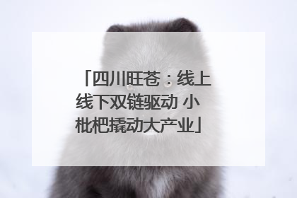 四川旺苍：线上线下双链驱动 小枇杷撬动大产业