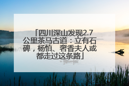 四川深山发现2.7公里茶马古道：立有石碑，杨慎、奢香夫人或都走过这条路