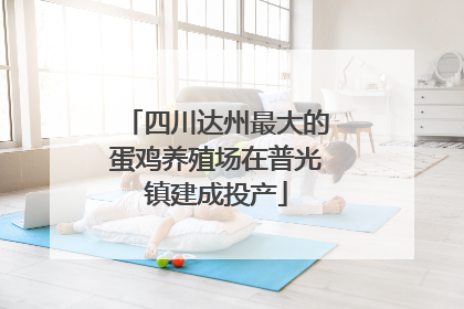 四川达州最大的蛋鸡养殖场在普光镇建成投产