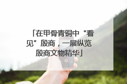 在甲骨青铜中“看见”殷商，一展纵览殷商文物精华