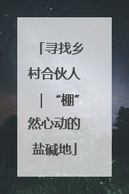 寻找乡村合伙人｜“棚”然心动的盐碱地