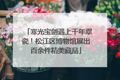 寒光宝剑遇上千年翠瓷！松江区博物馆展出百余件精美藏品
