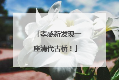 孝感新发现一座清代古桥！