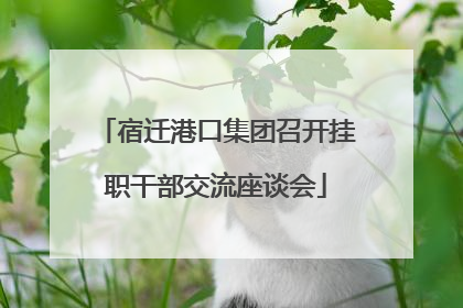 宿迁港口集团召开挂职干部交流座谈会