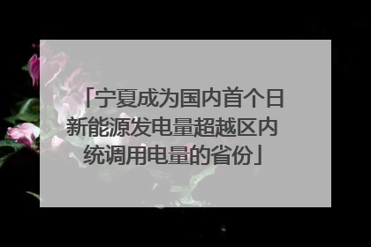 宁夏成为国内首个日新能源发电量超越区内统调用电量的省份
