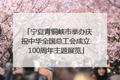 宁夏青铜峡市举办庆祝中华全国总工会成立100周年主题展览