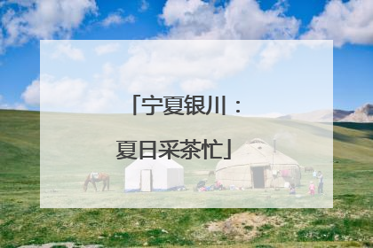 宁夏银川：夏日采茶忙