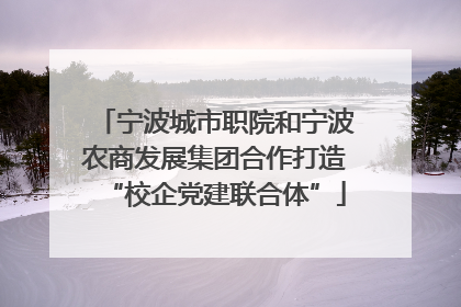 宁波城市职院和宁波农商发展集团合作打造“校企党建联合体”