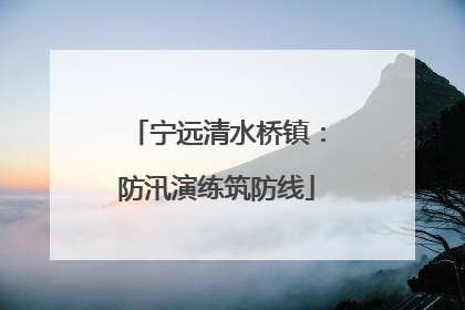 宁远清水桥镇：防汛演练筑防线