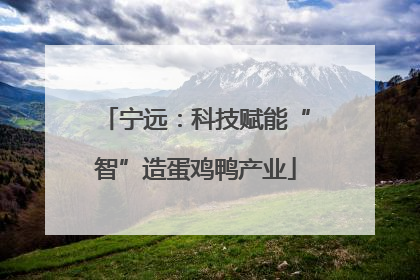 宁远：科技赋能“智”造蛋鸡鸭产业