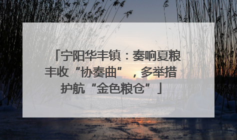 宁阳华丰镇：奏响夏粮丰收“协奏曲”，多举措护航“金色粮仓”