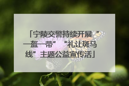 宁陵交警持续开展“一盔一带”“礼让斑马线”主题公益宣传活