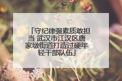 守纪律强素质敢担当 武汉市江汉区唐家墩街道打造过硬年轻干部队伍