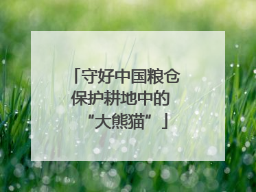 守好中国粮仓 保护耕地中的“大熊猫”