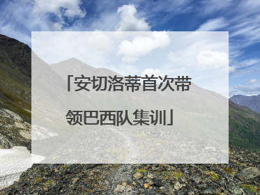 安切洛蒂首次带领巴西队集训