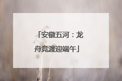 安徽五河：龙舟竞渡迎端午