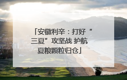 安徽利辛：打好“三夏”攻坚战 护航夏粮颗粒归仓