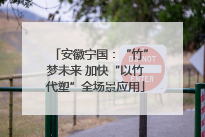 安徽宁国：“竹”梦未来 加快“以竹代塑”全场景应用