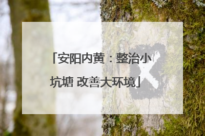 安阳内黄：整治小坑塘 改善大环境