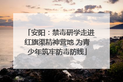 安阳：禁毒研学走进红旗渠精神营地 为青少年筑牢防毒防线