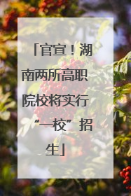 官宣！湖南两所高职院校将实行“一校”招生