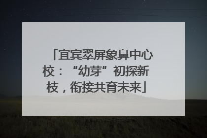 宜宾翠屏象鼻中心校：“幼芽”初探新枝，衔接共育未来