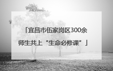 宜昌市伍家岗区300余师生共上“生命必修课”