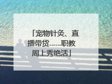 宠物针灸、直播带货……职教周上秀绝活