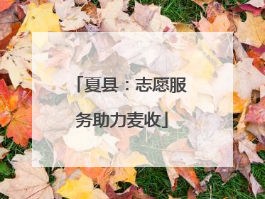 夏县：志愿服务助力麦收