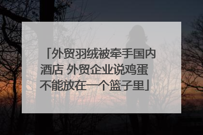 外贸羽绒被牵手国内酒店 外贸企业说鸡蛋不能放在一个篮子里