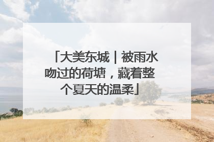 大美东城｜被雨水吻过的荷塘，藏着整个夏天的温柔