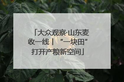 大众观察·山东麦收一线丨“一块田”打开产粮新空间