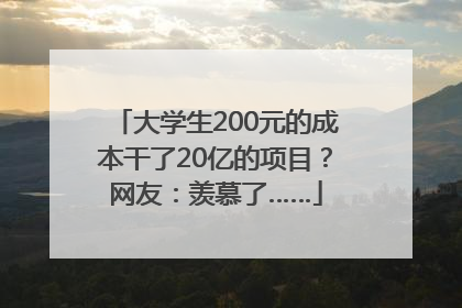 大学生200元的成本干了20亿的项目？网友：羡慕了……