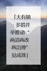 大有镇：多措并举推动“两清两改两治理”见成效