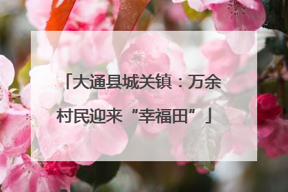 大通县城关镇：万余村民迎来“幸福田”