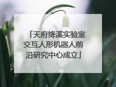 天府绛溪实验室交互人形机器人前沿研究中心成立