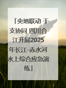 央地联动 干支协同 四川合江开展2025年长江-赤水河水上综合应急演练