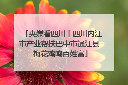 央媒看四川丨四川内江市产业帮扶巴中市通江县 梅花鸡鸣百姓富