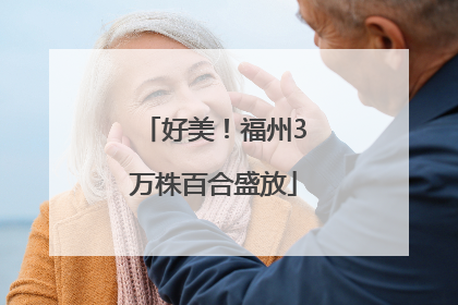 好美！福州3万株百合盛放