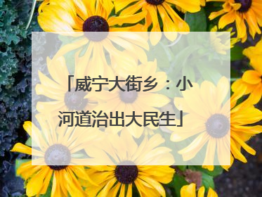 威宁大街乡：小河道治出大民生