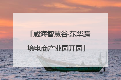 威海智慧谷·东华跨境电商产业园开园