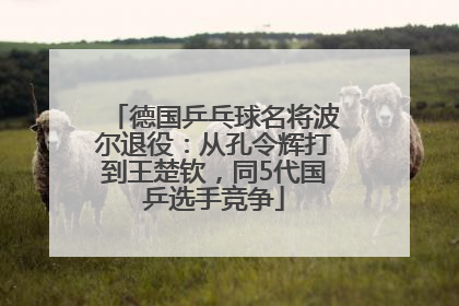 德国乒乓球名将波尔退役：从孔令辉打到王楚钦，同5代国乒选手竞争