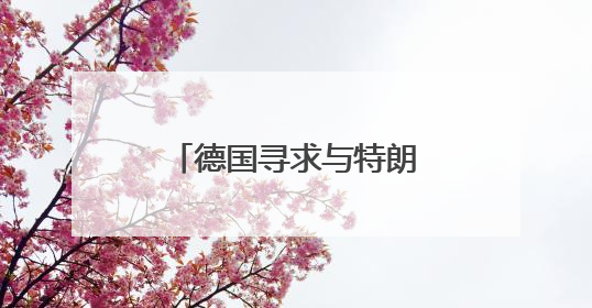 德国寻求与特朗普政府协调涉乌克兰问题立场