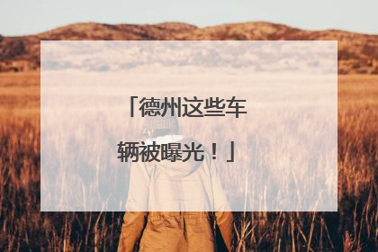 德州这些车辆被曝光！