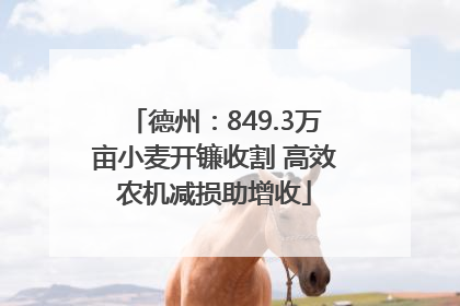 德州：849.3万亩小麦开镰收割 高效农机减损助增收