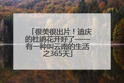 很美很出片！迪庆的杜鹃花开好了——有一种叫云南的生活之365天
