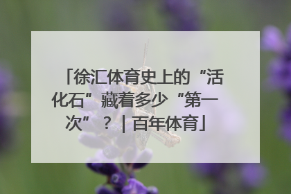 徐汇体育史上的“活化石”藏着多少“第一次”？｜百年体育