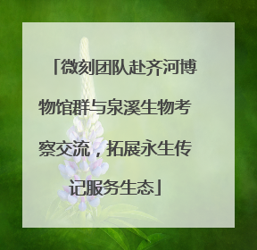 微刻团队赴齐河博物馆群与泉溪生物考察交流，拓展永生传记服务生态