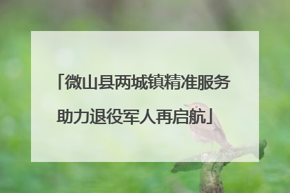 微山县两城镇精准服务助力退役军人再启航