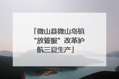 微山县微山岛镇“放管服”改革护航三夏生产